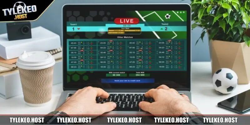 Top nhà cái là điểm dừng chân đáng tin cho người chơi cá cược