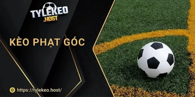 Soi Tỷ Lệ Kèo Phạt Góc Cực Gắt: Vì Sao Kèo Này Dễ Trúng?