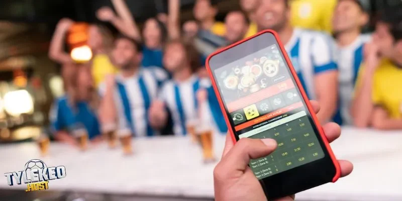 Tìm hiểu cách nhà cái đưa các ty le leo