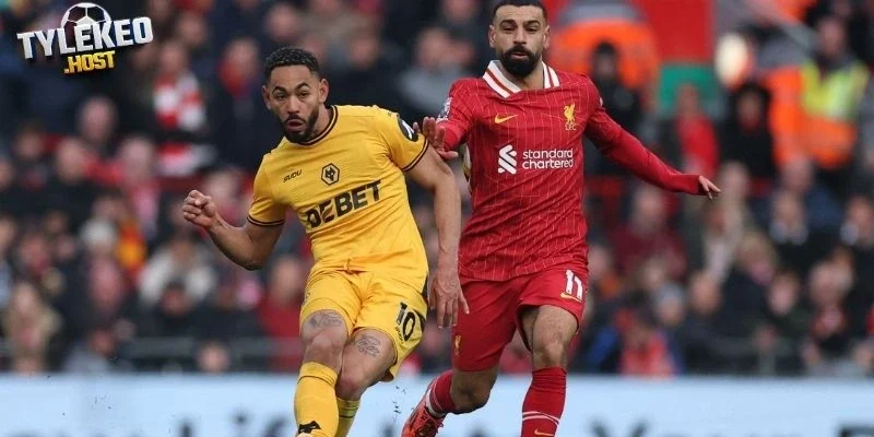 Phong độ Liverpool vs Wolves