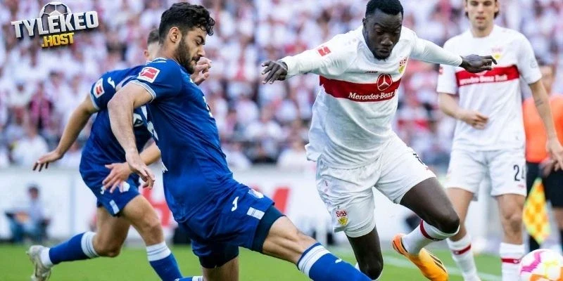 So sánh phong độ Stuttgart vs Hoffenheim